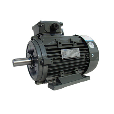 東元電機(jī)V系列標(biāo)準(zhǔn)電機(jī)與高效率電機(jī)說(shuō)明書(shū) 東元電機(jī)V系列標(biāo)準(zhǔn)電機(jī)與高效率電機(jī)說(shuō)明書(shū)