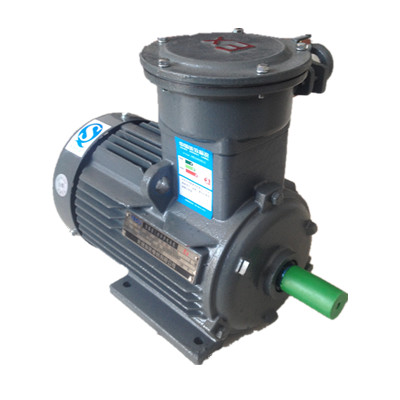 東元防爆電機(jī)說(shuō)明書(shū) 東元防爆電機(jī)說(shuō)明書(shū)