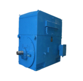 東元大中型異步電動(dòng)機(jī) 東元大中型異步電動(dòng)機(jī)