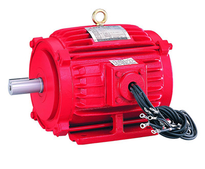 東元高溫排煙電機(jī) 東元高溫排煙電機(jī)