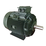 東芝高能效中型電機(jī) 東芝高能效中型電機(jī)