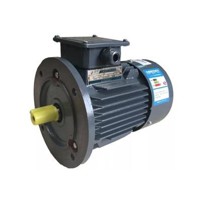 貝得電機1TL0001 貝得電機1TL0001